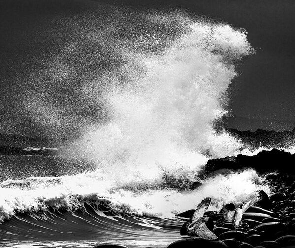 Photograph Diana Ivanova No Time To Stay on One Eyeland